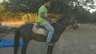 Bahçeye Giren Atı Vurdu, 'Beni Öldürecekti' Deyip Beraat Etti