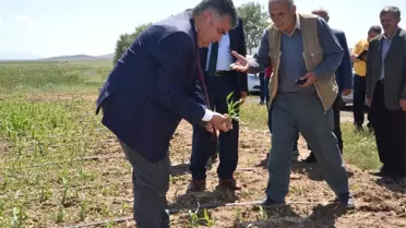 Ereğli'de Dolu Yağışının Ardından Arazide İncelemeler Sürüyor