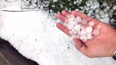 Kaş'ta Dolu Tarım Alanlarında Hasara Neden Oldu