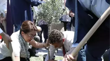 CHP Milletvekillerinden Zeytinlik Protestosu