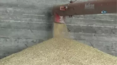 Verimli Hasat Hem Çiftçiyi Hem de Esnafı Mutlu Etti