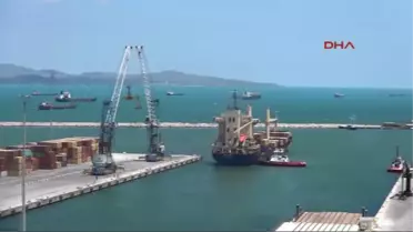 Balıkesir Marmara'daki Renk Değişimi Balık Bolluğuna Neden Olacak