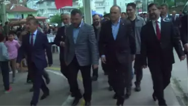 Bilim Sanayi ve Teknoloji Bakanı Özlü: 'Zeytinlik Alanları İçin AK Parti'ye Teşekkür Edilmeli'