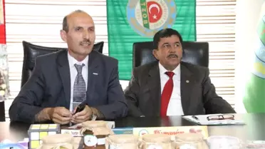 Fındığın Sorunlarına Çözüm Aranacak