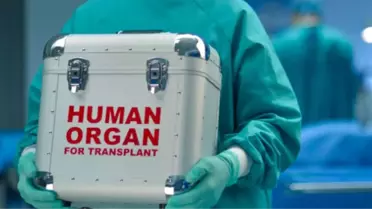 Yaşam Mücadelesini Kaybeden Genç Kız Organlarıyla Hayat Verecek