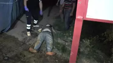 Dhayurt -   Tarlaya Yıldırım Düştü 2 Ölü, 5 Yaralı