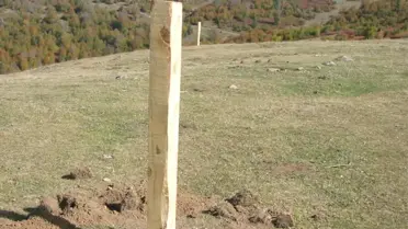 Ordu Yaylalarına 24 Adet Kaşınma Kazığı