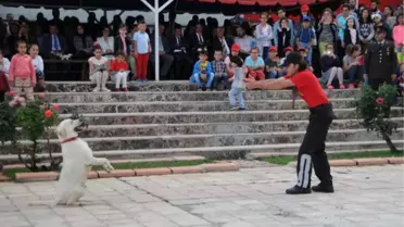 Tunceli'de Jandarmanın Dedetör Köpekleri Nefes Kesti 2