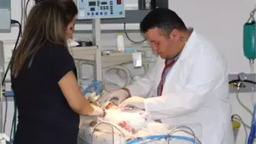 Uzaklaştırma Kararına Rağmen 8 Aylık Hamile Kadını Eşi Öldürdü, Bebeği Kurtarıldı (5)