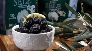 Bursa'da Zeytin Ağacı Envanteri Çıkarılıyor