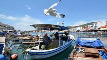 Foça Belediyesi Deniz Öyküleri Ödülü'ne Başvurular Uzatıldı