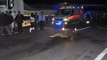 Yoldan Karşıya Geçmek Isterken Can Verdiler