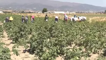 Ramazan Bayramı Kutlanıyor