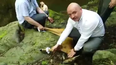 Kanyon'a Düşen Karaca İçin Milletvekilleri ve Belediye Başkanları Seferber Oldu