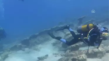 Muğla'da Caretta Carettalarla Dalış Turizmi