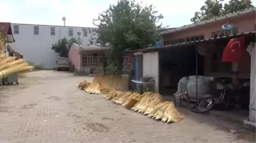 Temizlik Aracı Görülse De, Geçmişinde Farklı İzler Taşıyor