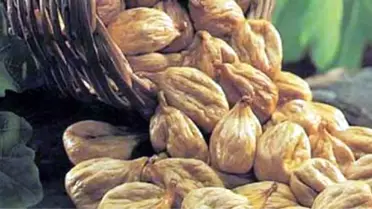Aydın İnciri Sağlıklı Ürün Vasfını Korumalı