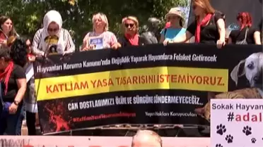 Hayvanseverler Sokak Hayvanları İçin Eylem Yaptı