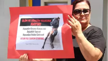 Hayvanseverlerden Eş Zamanlı Yasa Tasarısı Eylemi