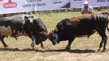 37. Kafkasör Kültür, Turizm ve Sanat Festivali Sona Erdi
