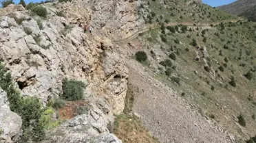 Esrarengiz Olay: Biri Atlayınca Diğerleri de Atladı