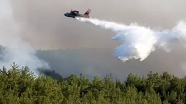 İzmir'deki Maki ve Orman Yangını