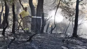 30 Hektarı Kül Eden Çanakkale'deki Orman Yangını Kontrol Altında