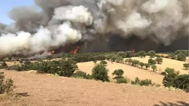 Çanakkale'deki Orman Yangını Devam Ediyor