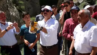 Vali Yurtnaç, Kınalı Keklikleri Kanyondan Doğaya Saldı