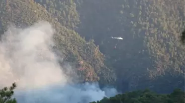 Denizli'deki Orman Yangında Tamamen Kontrol Altına Alındı (2)