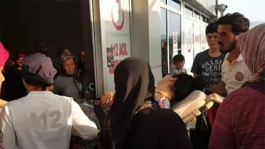 Zonguldak'ta Tarım Aracı Devrildi: 5 Yaralı