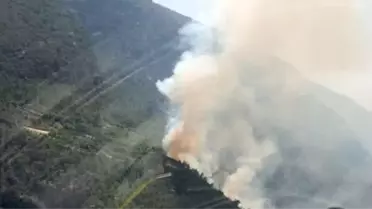Denizli'nin Çameli ve Kale İlçelerinde Orman Yangını