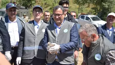 Giresun'da 2 Bin Keklik Doğaya Salındı