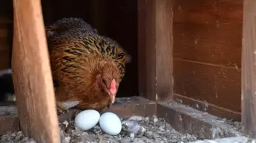 Geleceğin Mesleğine Öğrencilerden Büyük İlgi