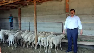 Kurban Bayramı Öncesi Hırsızlar İş Başında