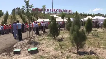 Etimesgut'a '15 Temmuz Şehitleri Hatıra Ormanı'