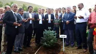 Gevaş'ta 249 Şehit Anısına 249 Fidan Dikildi