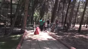 Gaziantep Turizmine Şempanze 'Can' Dopingi