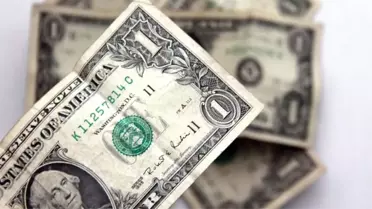 Fetö'den Üyelerine 1 Dolar Uyarısı