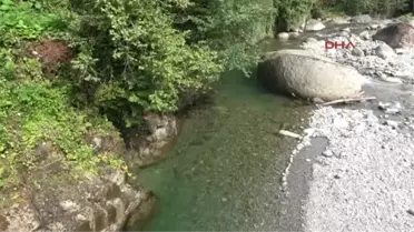 Rize Arılı Vadisi'nde Yola Oturan Kadınlar Bilirkişi Heyetinin Yolunu Kesti