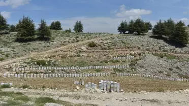 Mersin'de Bal Ormanları Arıcılarla Buluştu