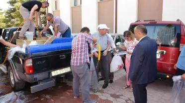 Göl ve Göletlere 124 Bin Yavru Sazan Bırakıldı