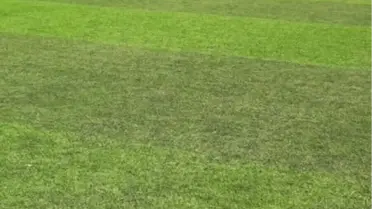 Kalp Krizi Geçiren İlçe Müftüsü Hava Ambulansı ile Tötm'e Kaldırıldı