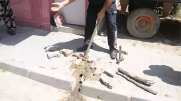 Manisa Yavru Kediyi 3 Gün Sonra Itfaiye Kurtardı