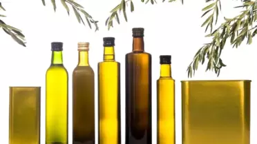 Zeytin Dostları'Nın Bakan Fakıbaba'dan Beklentisi Yüksek