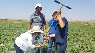 Delice Irmağı'nda Tuz Ölçümü Yapıldı