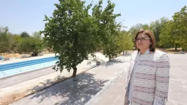 Şahin, Ortak Canlı Yayın da Soruları Cevapladı