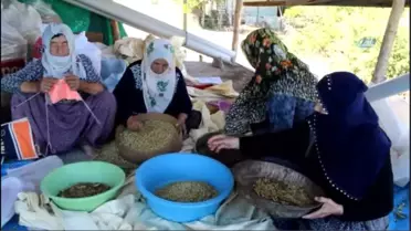 Tunceli'nin Köyünden, Dünyaya Açılan Dut