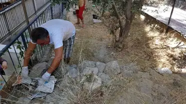 Kordon Bağı ile Birbirine Bağlı Doğdular