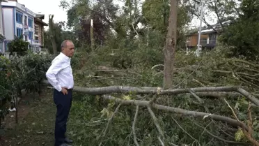 Kadıköy'de Yüzlerce Ağaç Devrildi